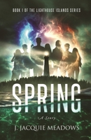 The Lighthouse Islands Series - Book 1 B0DYG2NYXJ Book Cover