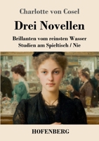 Drei Novellen: Brillanten vom reinsten Wasser / Studien am Spieltisch / Nie (German Edition) 3743755173 Book Cover