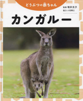Kangaroo (Baby Animals) 4323052138 Book Cover