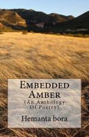 Embedded Amber: Soul- in Search of the Solace 1718804113 Book Cover