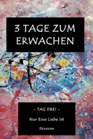 3 Tage Zum Erwachen: Tag Drei – Nur Eine Liebe Ist (Divine Man - 3 Tage zum Erwachen) (German Edition) B0GW5RGB18 Book Cover