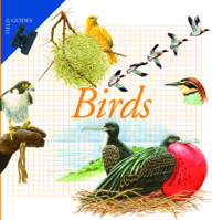 Birds (Field Guides) 1592700586 Book Cover