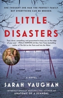 Little Disasters 1501172220 Book Cover