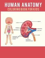 Human Anatomy Coloring Book For Kids: Human body theater preschool anatomy book Bones Muscles Blood Nerves and More for Adults College Student. B08P3F73QB Book Cover