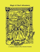 Magic & Steel Adventures B0FV3N359T Book Cover