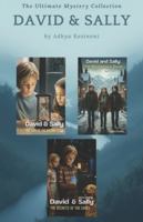 The Ultimate Mystery collection David and Sally (Book 1,2,3) B0G4D2JPH5 Book Cover