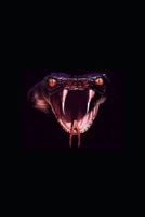 Reckless - Encounter 1983029572 Book Cover