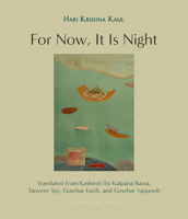 For Now, It Is Night: Stories 1953861784 Book Cover