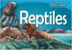 Pocket Guide Reptiles 1740895606 Book Cover