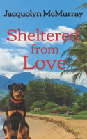 Sheltered from Love: Clean & Wholesome Second Chance Romance 1736667149 Book Cover