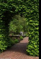 No Words 1388747634 Book Cover