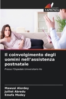 Il coinvolgimento degli uomini nell'assistenza postnatale (Italian Edition) 6630403665 Book Cover
