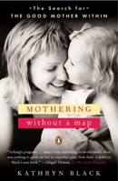 Mothering Without a Map: The Search for the Good Mother Within 0670032662 Book Cover