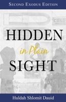 Hidden in Plain Sight: The Revelation of the Son's of Yah in America 0692800484 Book Cover