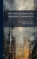 Sex Trafficking in a Border Community 1025073657 Book Cover