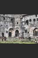 Tenebris Occultis: DUNKLES GEHEIMNIS (Teil) (German Edition) 1521421412 Book Cover