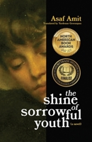 The shine of sorrowful youth 1966477163 Book Cover