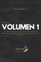 Theorei Vol. 1: La Biblia no nos invita solo a Mirar, sino a observar Atentamente y buscarle Diligentemente, hasta poder percibir y Entender lo que nuestros ojos han Visto (Spanish Edition) B0F1LXKX55 Book Cover