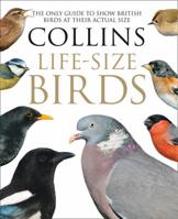 Collins Life-Size Birds: The Only Guide to Show British Birds at their Actual Size 0008218730 Book Cover