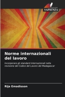 Norme internazionali del lavoro (Italian Edition) 6207663144 Book Cover