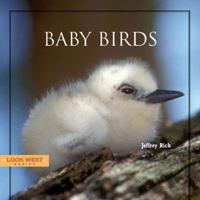 Baby Birds 1887896708 Book Cover