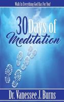 30 Days of Meditation: Walk In Everything God Has For You 1518802893 Book Cover