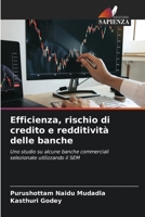 Efficienza, rischio di credito e redditività delle banche 6206240460 Book Cover