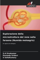 Esplorazione della microstruttura del rene nella faraona (Numida meleagris) (Italian Edition) 6209966829 Book Cover