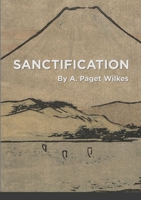 Sanctification 1387765698 Book Cover