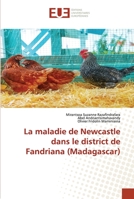 La maladie de Newcastle dans le district de Fandriana (Madagascar) 6203423742 Book Cover
