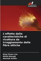 L'effetto delle caratteristiche di ricottura da irraggiamento delle fibre ottiche (Italian Edition) 6209984363 Book Cover