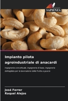 Impianto pilota agroindustriale di anacardi (Italian Edition) 620837068X Book Cover