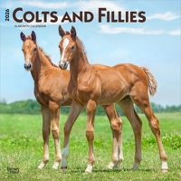 Colts and Fillies 2026 12 X 24 Inch (Hanging) Monthly Square Wall Calendar Plastic-Free B0DYKZ32Q8 Book Cover
