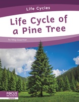 Life Cycle of a Pine Tree 1644938308 Book Cover