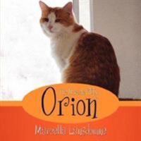 Orion The Miracle Kitty 1425980902 Book Cover
