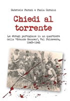 Chiedi al torrente (Italian Edition) B0GYRF5KXC Book Cover