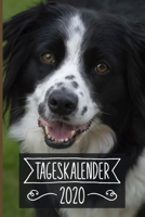 Tageskalender 2020: Terminkalender ca DIN A5 weiß über 370 Seiten I 1 Tag eine Seite I Jahreskalender I Border Collie I Hunde 1702075567 Book Cover