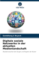 Digitale soziale Netzwerke in der aktuellen Medienlandschaft: Rivalität zwischen den Sorgen und Ängsten der Nutzer 6204163558 Book Cover