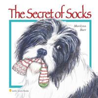 The Secret of Socks 1539015947 Book Cover