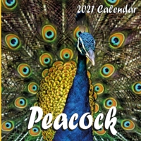 Peacock Calendar 2021: Peacock 2021 Mini Wall Calendar 16 Months B08S2VT18S Book Cover