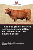 Taille des grains, matière sèche et consommation de l'alimentation des bovins Senepol (French Edition) 6207668227 Book Cover