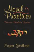 Novel Practices (Clt) 0765802082 Book Cover