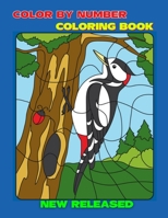 Color By Number Coloring Book: Color By Number Coloring Book B096TWBJ22 Book Cover