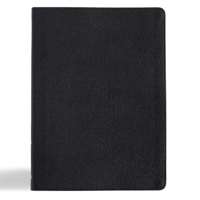 CSB Connecting Scripture New Testament, Black Genuine Leather: A Study Bible of Biblical Allusions and Quotations B0DT886X8M Book Cover