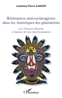 Résistances anti-esclavagistes dans les Amériques: Les Africains déportés à l'épreuve de leur désafricanisation (French Edition) 234313667X Book Cover