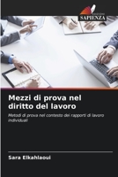 Mezzi di prova nel diritto del lavoro: Metodi di prova nel contesto dei rapporti di lavoro individuali 6205924811 Book Cover