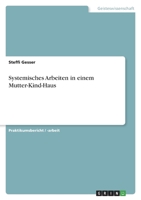 Systemisches Arbeiten in einem Mutter-Kind-Haus 3346546446 Book Cover