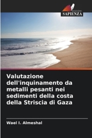 Valutazione dell'inquinamento da metalli pesanti nei sedimenti della costa della Striscia di Gaza (Italian Edition) 6207138759 Book Cover