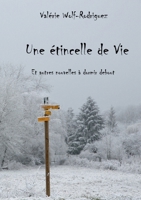 Une étincelle de vie: et autres histoires à dormir debout (French Edition) 2322573310 Book Cover
