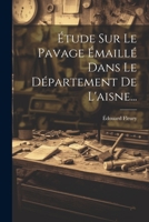 Étude Sur Le Pavage Émaillé Dans Le Département De L'aisne... 1021254924 Book Cover